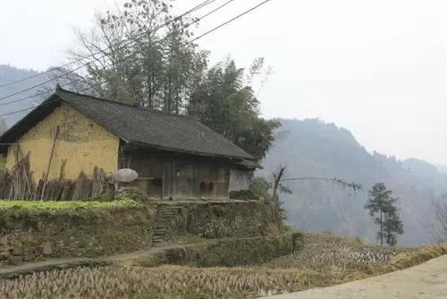 一张照片改变了这个女孩一生,一位改变山寨命运的农村女人