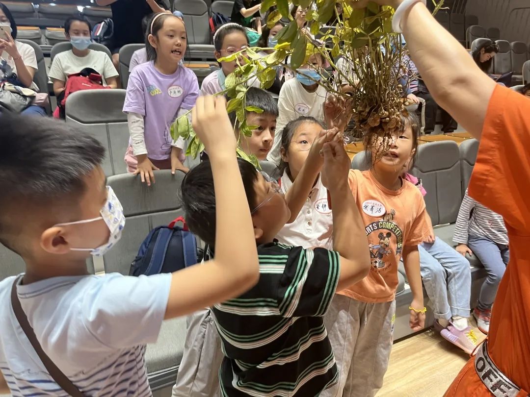 双减政策下少先队实践教育案例,双减政策下小学德育工作实践