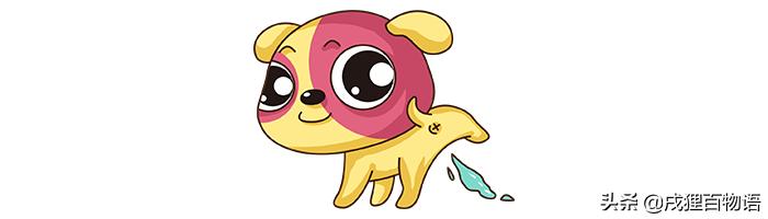 狗狗在狗窝乱拉屎尿如何解决,狗狗在笼子里乱翻窝