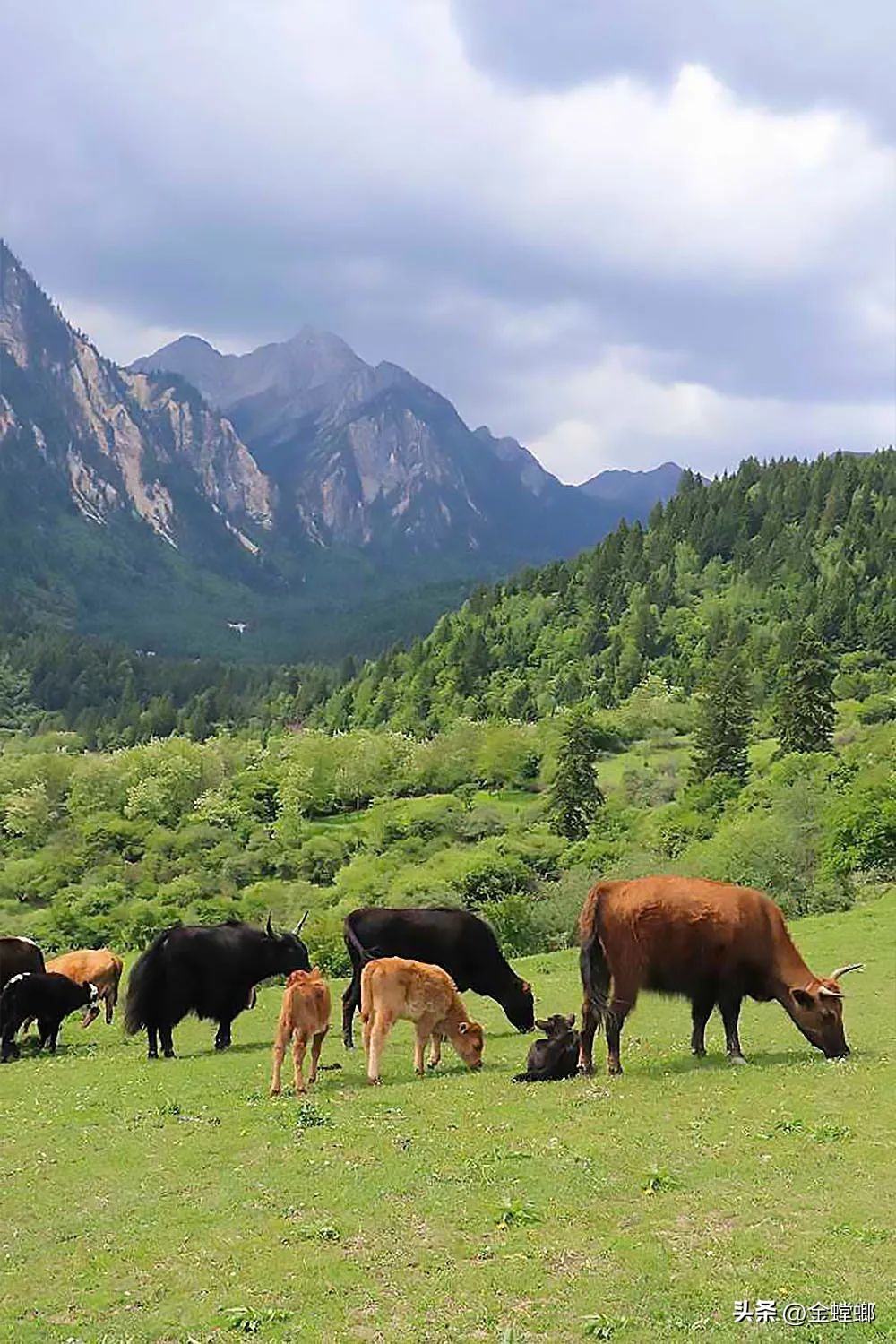 中国首家，全球第六家—九寨沟日赛谷丽思卡尔顿隐世酒店