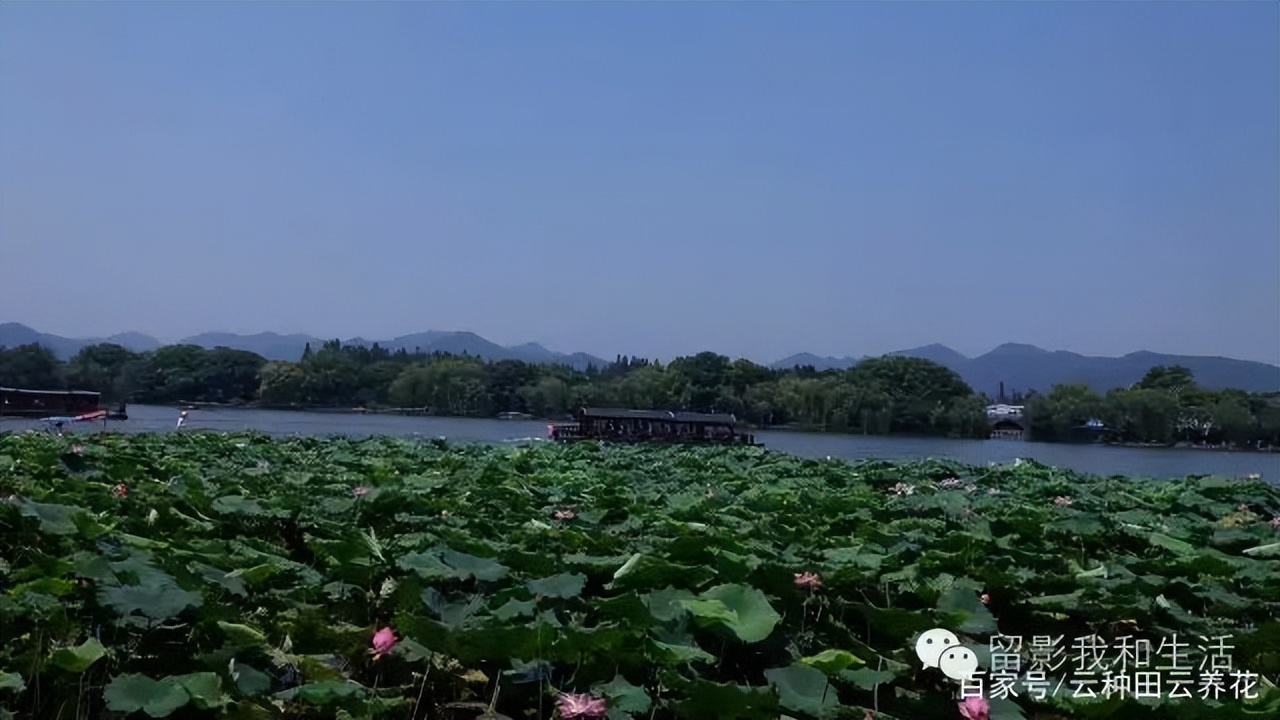 2017杭州中国行,2013年杭州行