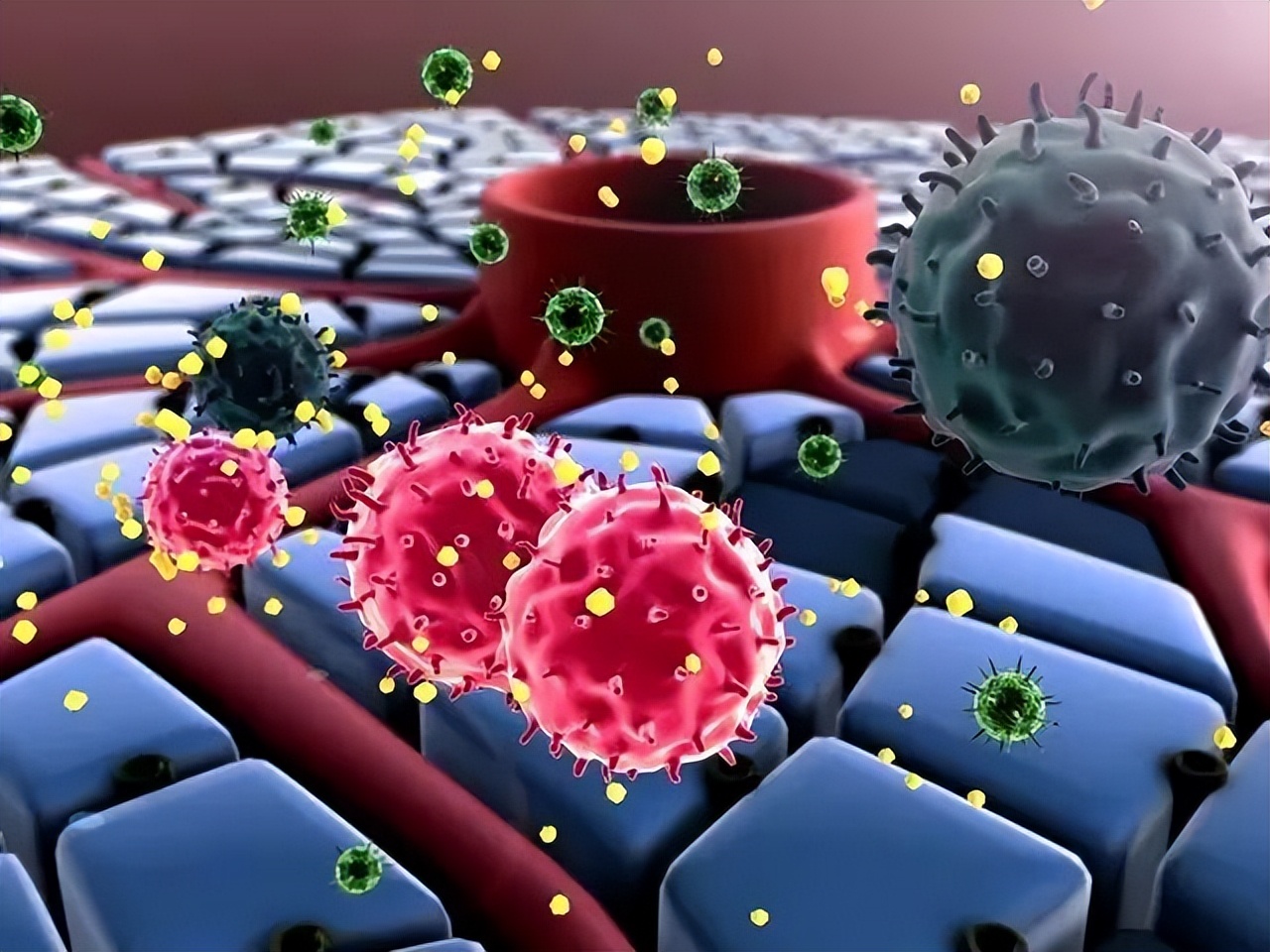 患有乙肝的人，一直不吃药也不治疗，会怎么样呢？