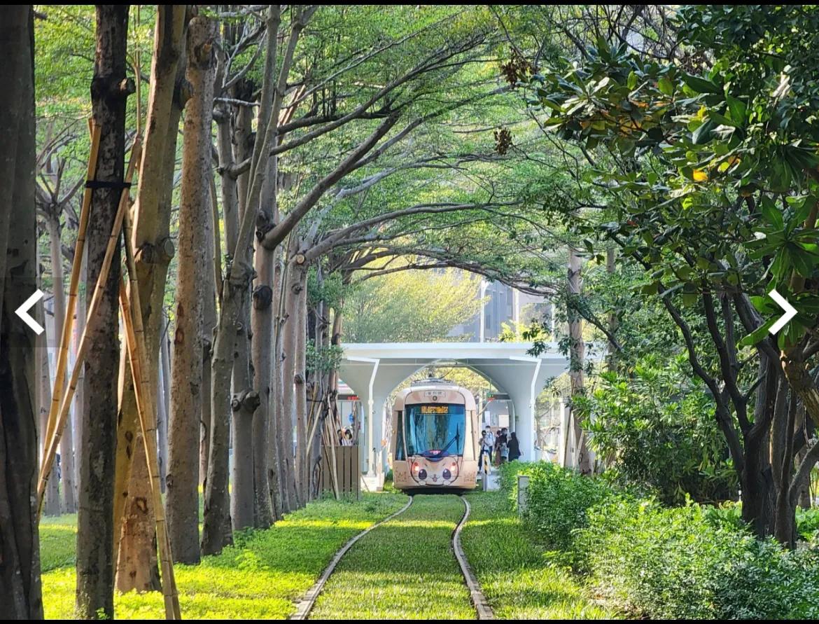 台湾旅游攻略视频,台湾彰化旅游攻略