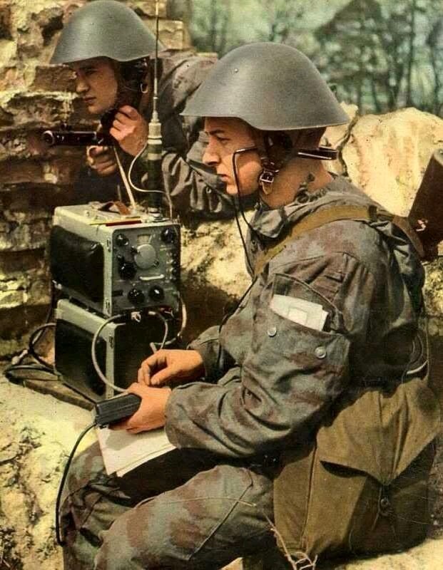 德国东德人民军,德国统一后东德军队