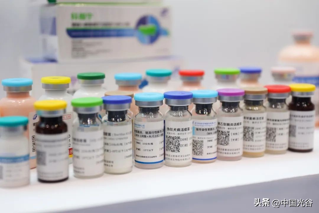 第十五届中国生物产业大会在汉举行，何维视频致辞，陈竺致贺信，王忠林致辞