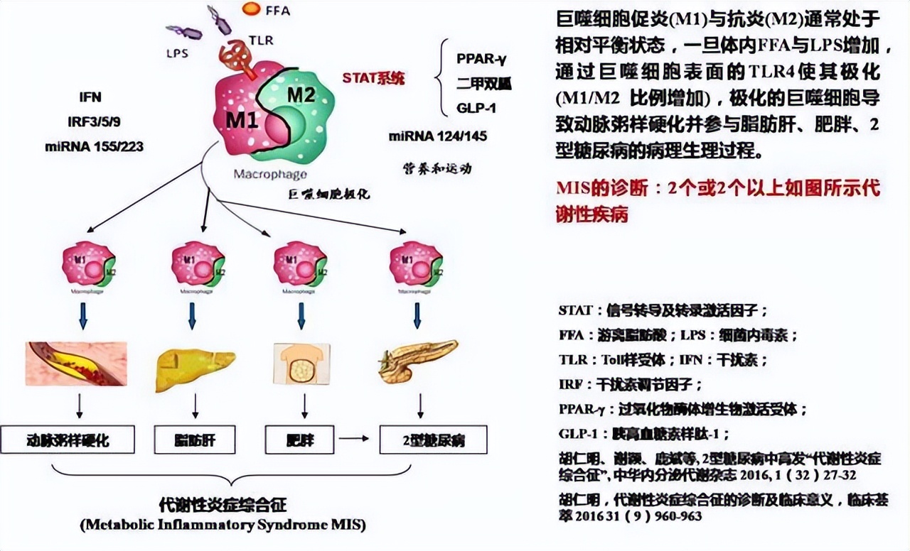 二型糖尿病肠道菌群重建的原理,糖尿病肠道菌群重建多少钱