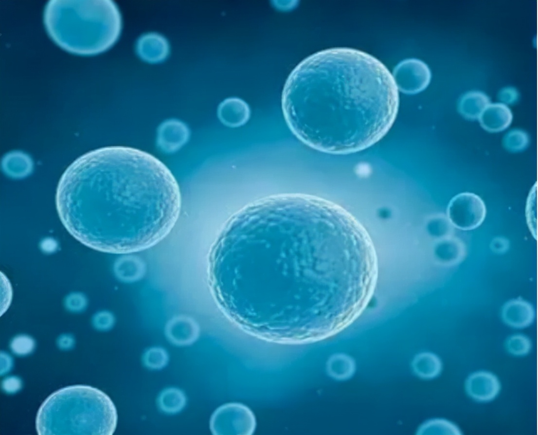 75毫克厄贝沙坦一片能降多少血压,厄贝沙坦片是治低血压还是高血压