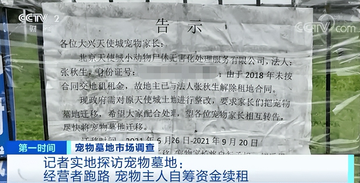 哪种宠物墓地最便宜,宠物墓地现状及发展