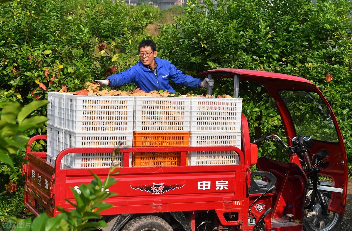电动车三轮车驾照考几科,电动三轮车考驾照科目四多少分