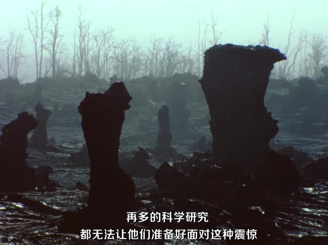 盘点内娱cp18年,内娱哪对cp可能是真的