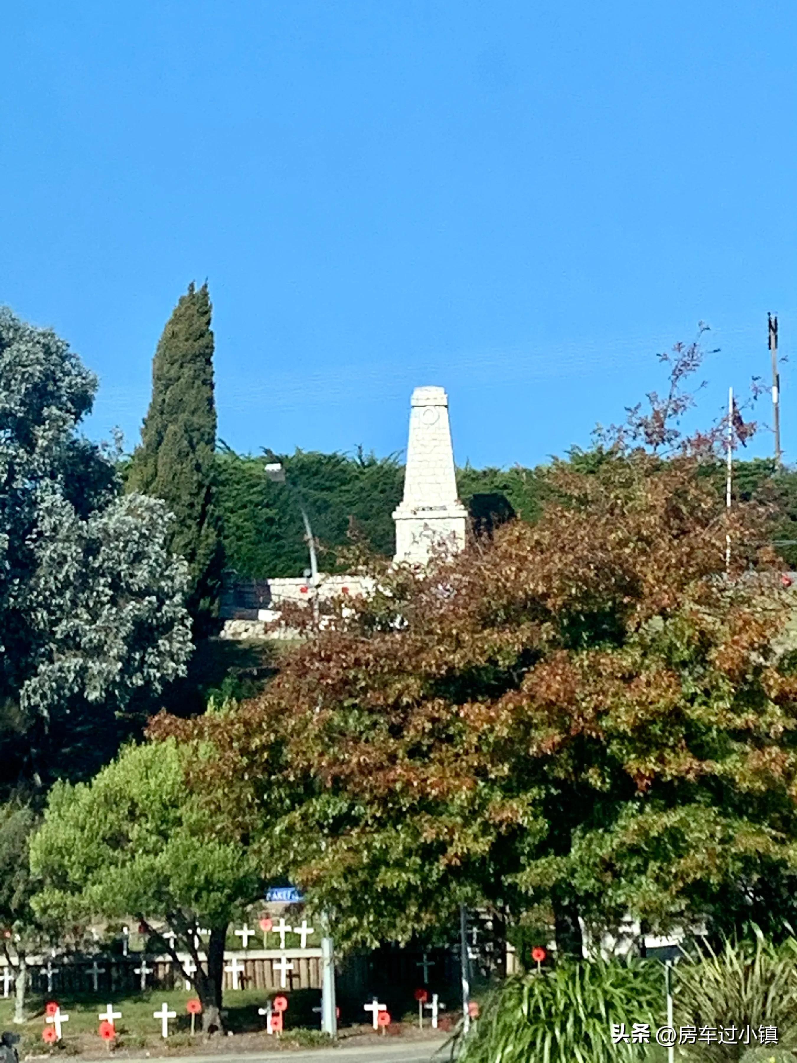 虞美人盛开AnzacDay——新手新车新西兰之八