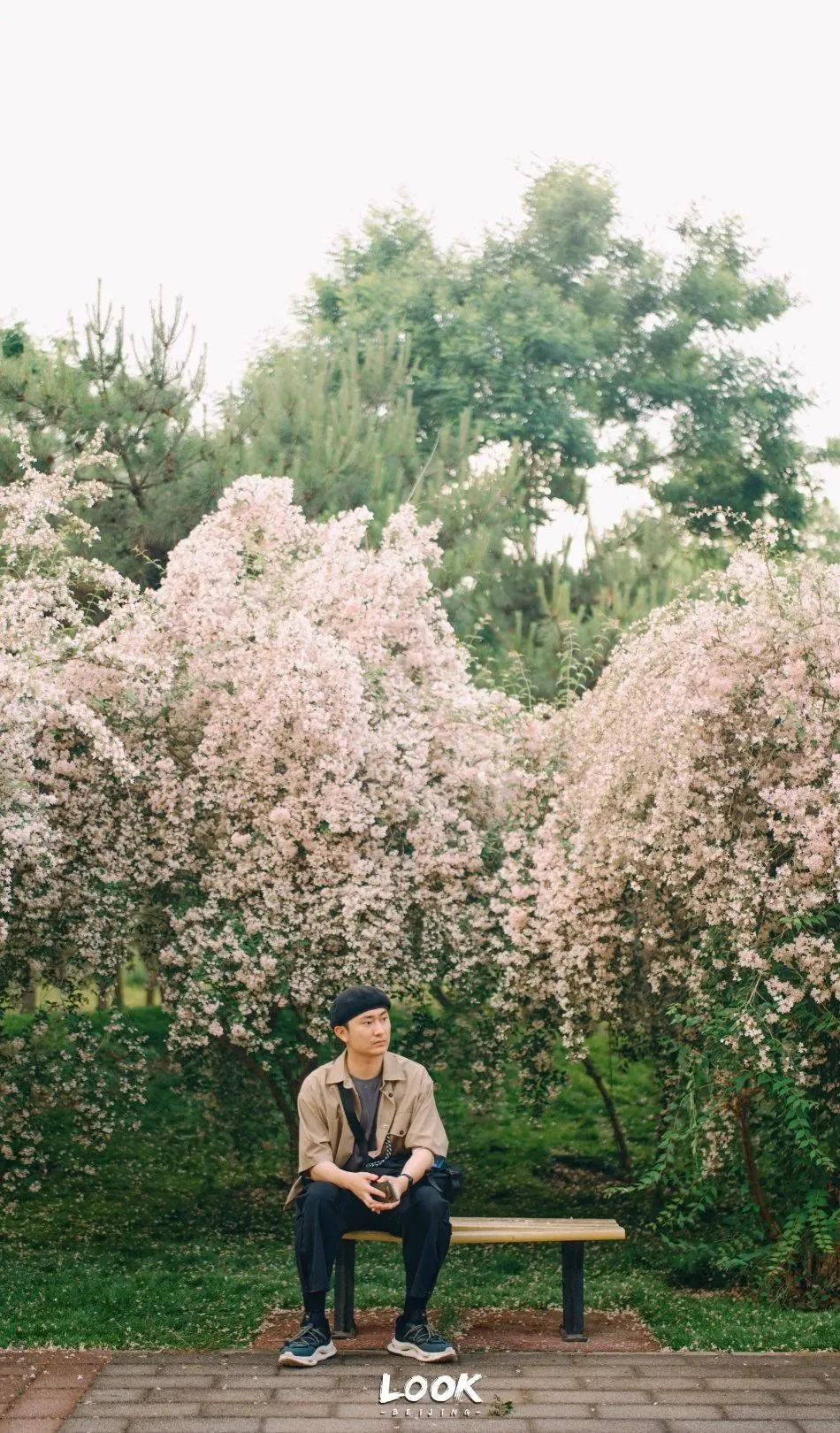 北京居庸关花海栈道,北京四季花海景区