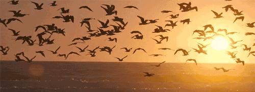 中国话影响全世界,中国话在世界的影响