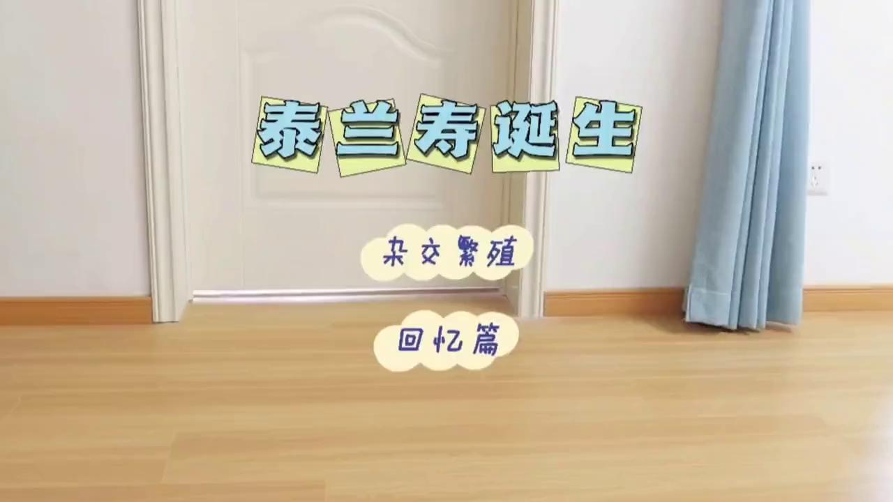 翻到相册里去年繁殖的视频，回忆一下~#繁殖