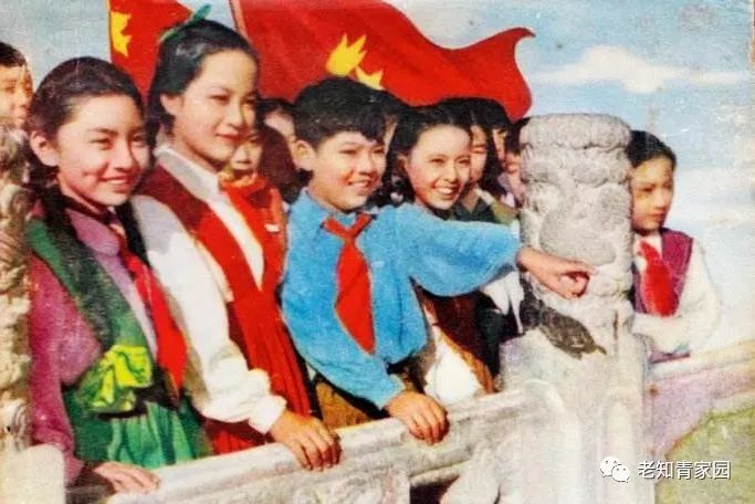 50年代的少年,50年代的人成长经历