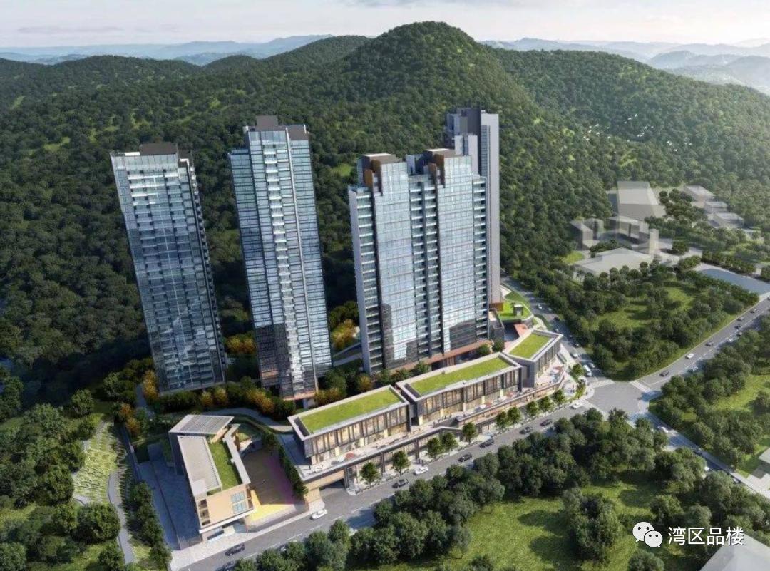 深圳新盘即将入市的楼盘,深圳查看新楼盘