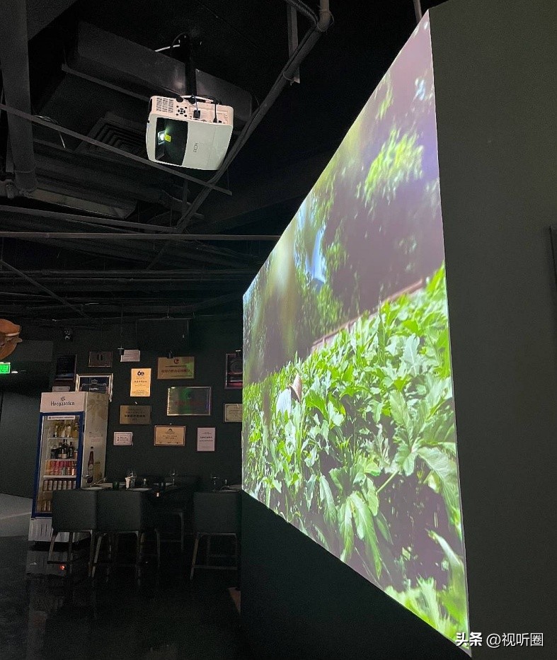 兆龙饭店自助餐厅,兆龙饭店豪华套件