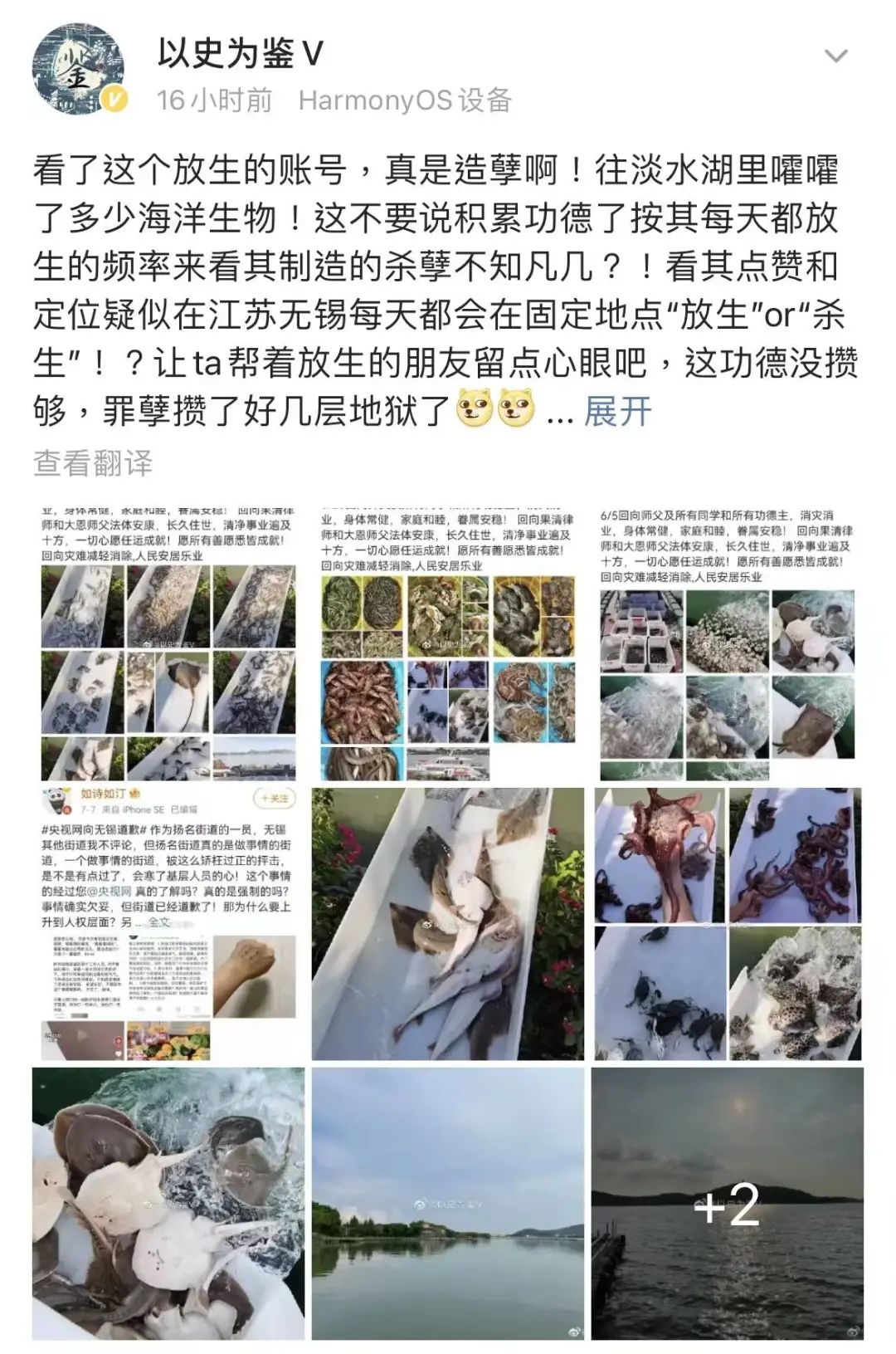 那些胡乱放生的人,那些放生的人都怎么想的