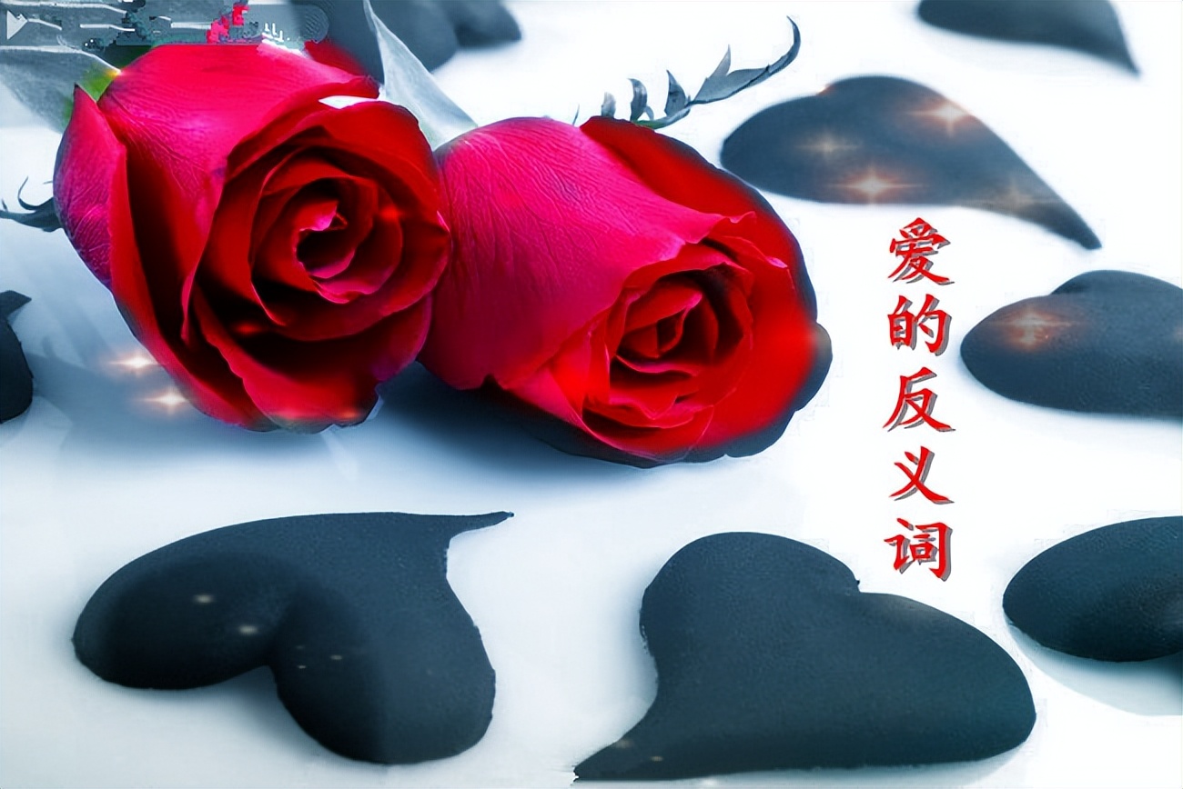 爱的反义词是漠不关心出自哪里,爱的反义词标准答案