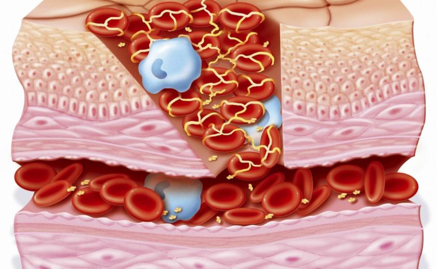 结痂的伤口，痒到怀疑人生，到底该怎么对待？看看医生怎么说