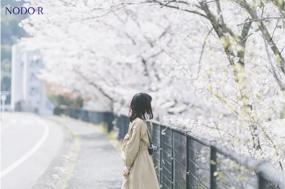 处女座专属男明星是谁,处女座专属明星男生