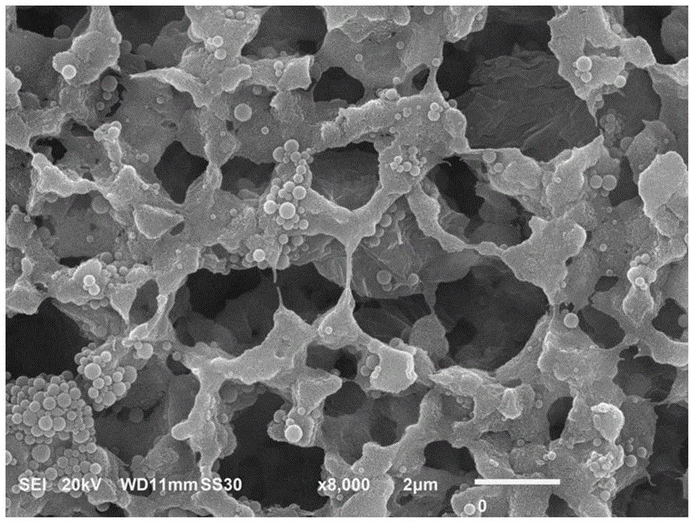 改性壳聚糖吸附重金属离子,改性活性炭吸附实验报告