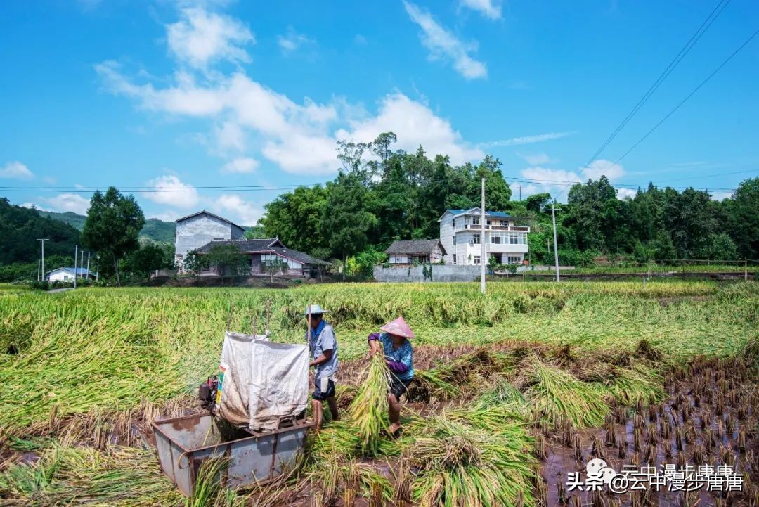 岳池旅游景点大全推荐,行走的美景