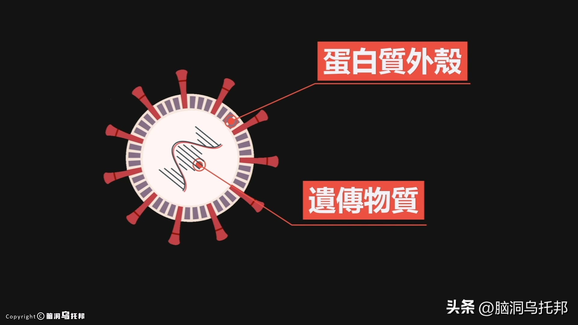 无症状感染是因为体质差吗,为什么有的人感染症状轻
