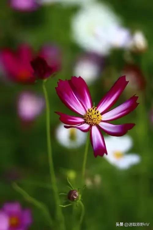 鎰熸偀浜虹敓鍗佹偀,浜虹敓鍗佹偀鎰熻Е棰囨繁