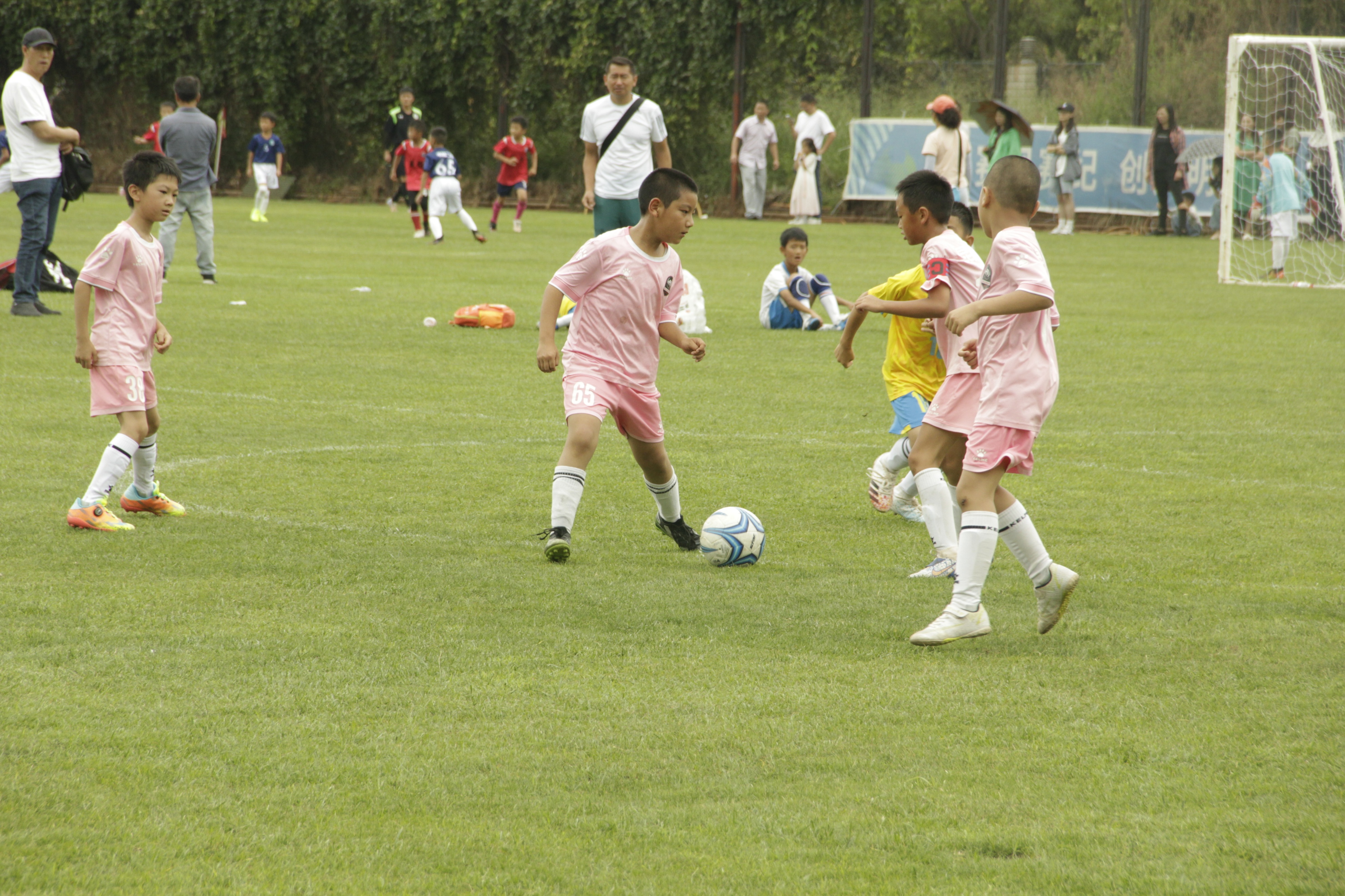 昆明市小学生奋进杯,昆明市奋进杯足球