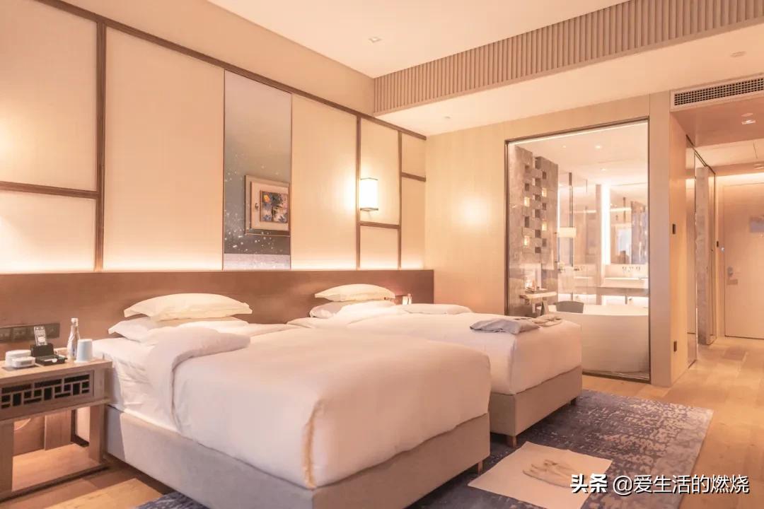 上海阿纳迪酒店特色和作用,上海阿纳迪酒店评价