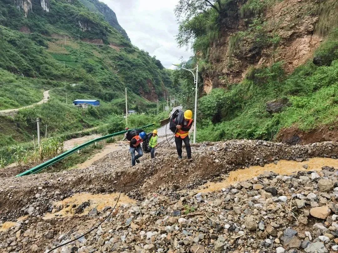 悬念揭晓在即,悬念揭晓视频