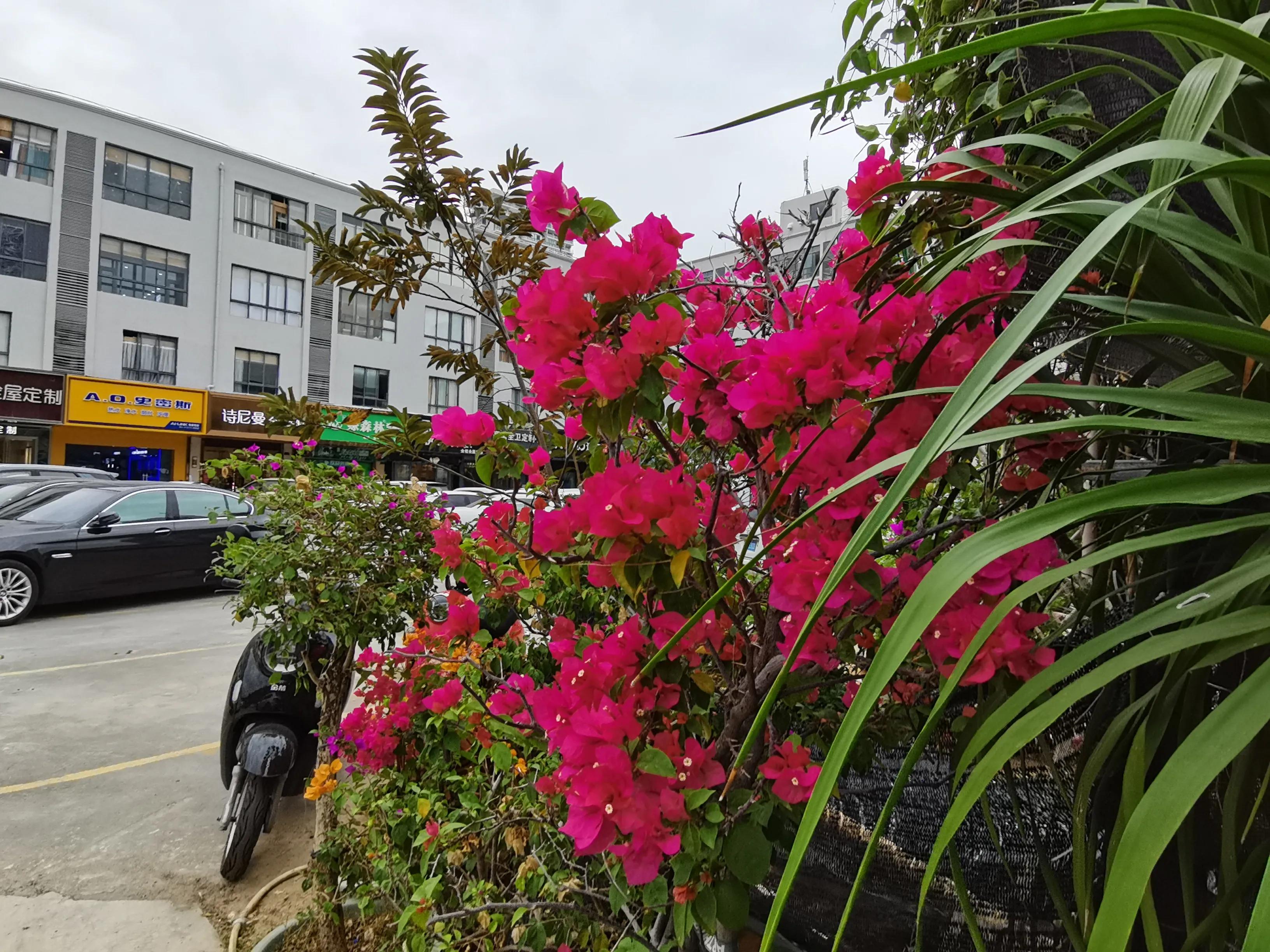 冬天海南风景视频,冬季的海南