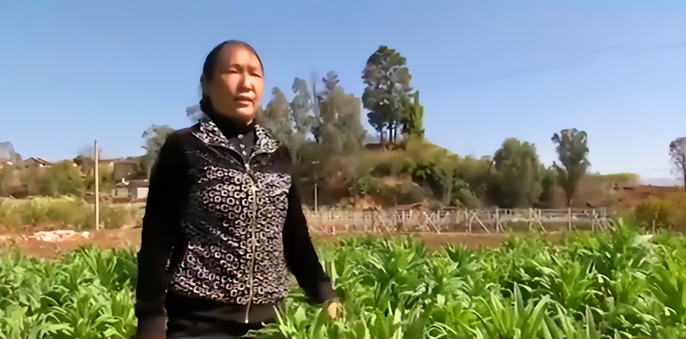 神医李伯藩专治哪些病,李伯藩老中医治疗什么