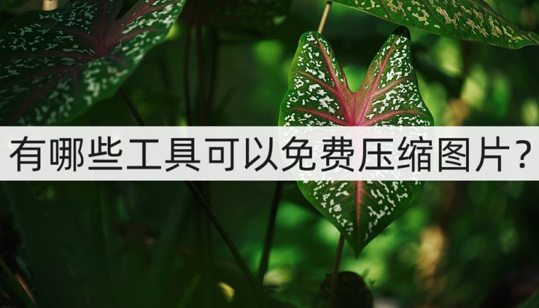 免费图片压缩在线处理,什么软件可以免费压缩图片