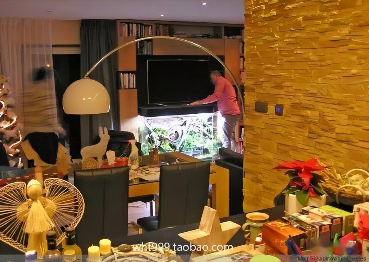 雨林缸超小,雨林缸电视柜