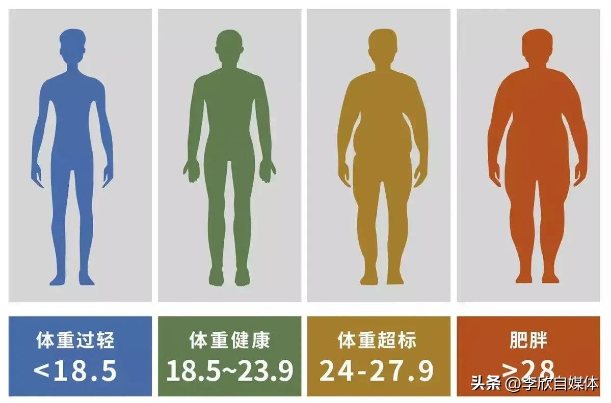 bmi是什么bmi越大越好吗,男性bmi越大越好还是越小越好