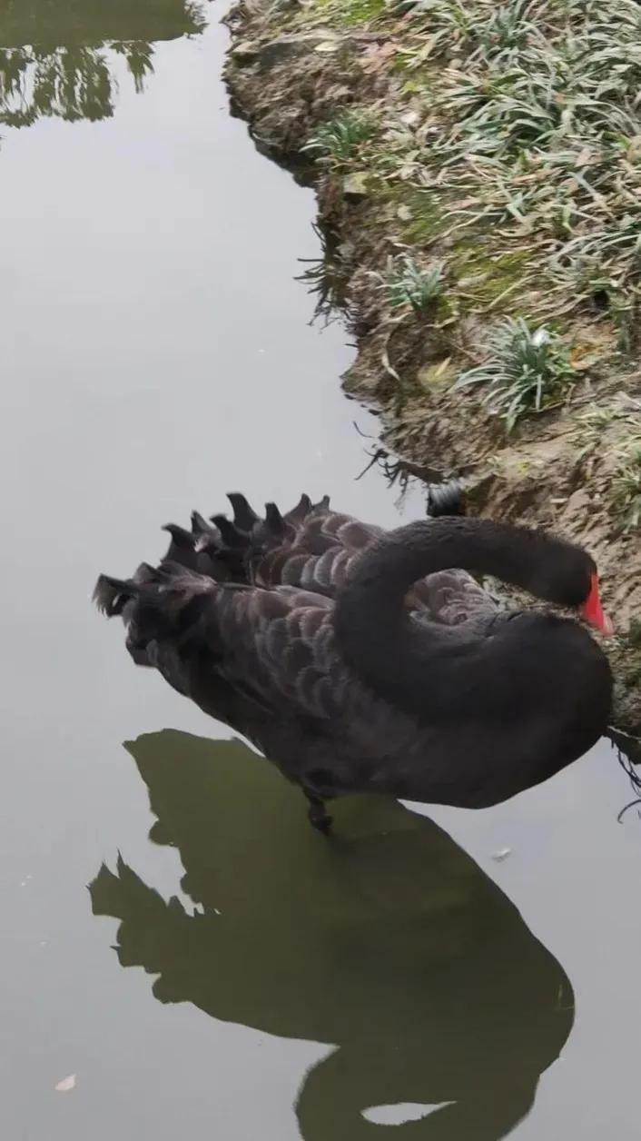 苏州东园园林地址,苏州东园园林简介