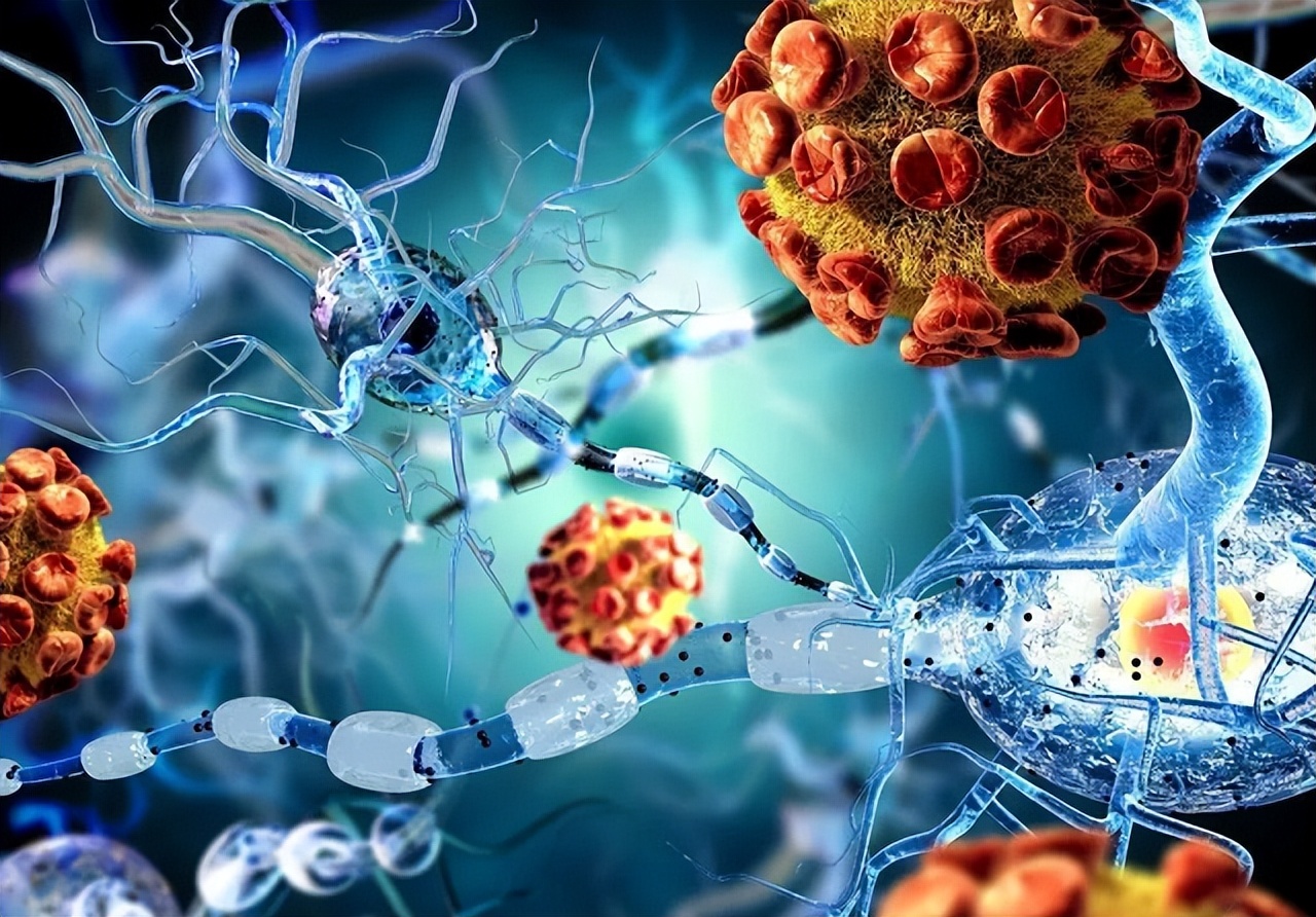 大专生想用游戏治疗癌症，凭借梦想苦苦支撑，此方法终将成为现实