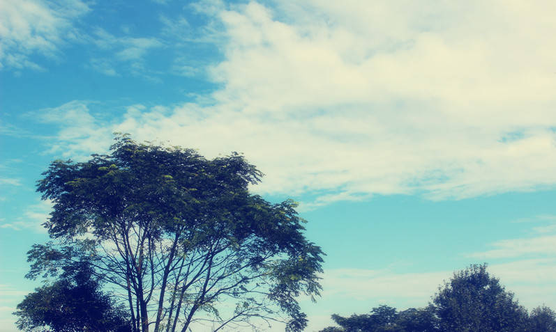 2023高中历史典故大全：100条历史典故，读懂半个中国