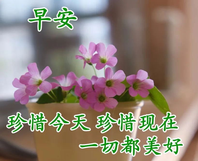 特别漂亮的早上好图片祝福问候语,早上好问候语祝福语带图片大全