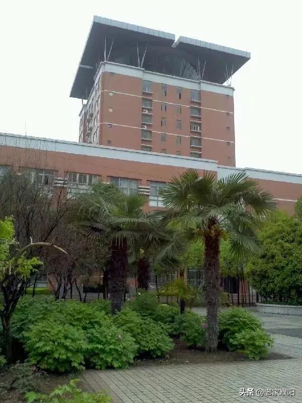 以前的洛阳vs现在的洛阳,曾经的洛阳大学