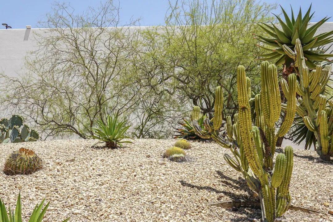 野口勇加州景观,野口勇的加州剧本