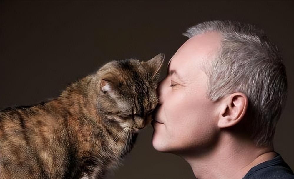 猫咪在成长期间会有哪些变化,猫咪一生性格变化