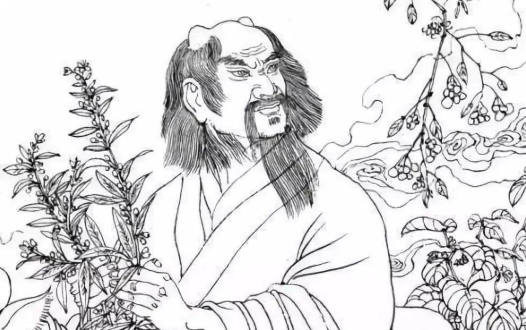 茶是什么意思,茶是什么颜色