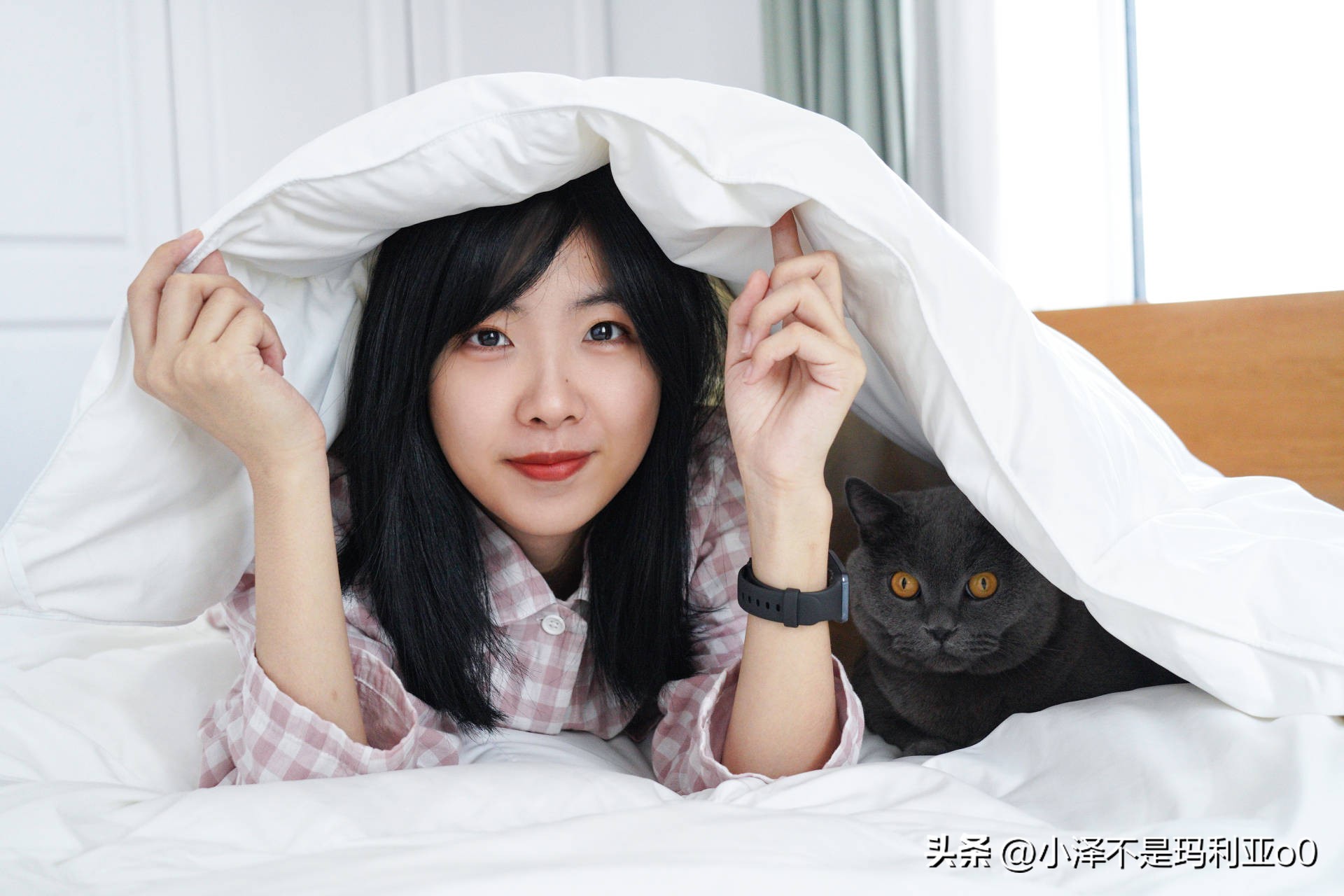 羽绒被品质好还是鹅绒被品质好,如何挑选性价比高的羽绒被