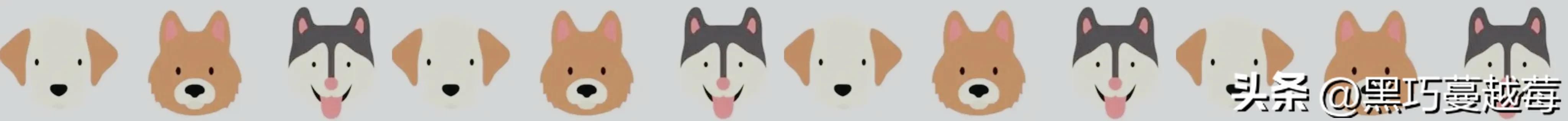 披星戴月来见你——网购宠物的千层套路