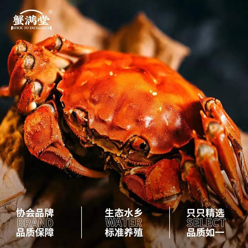 千亿大闸蟹市场,大闸蟹行业如何开小店