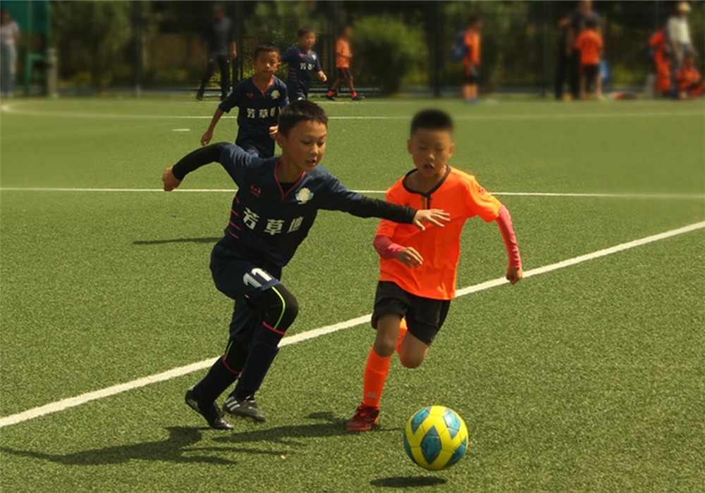 云南省昆明市第六届校园足球联赛,昆明市西山区芳草地国际学校
