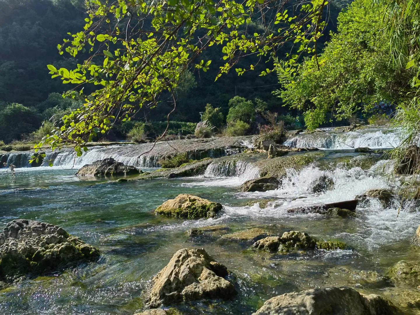 下辈子只想做条只有七秒记忆的鱼,愿做一条只有七秒记忆的鱼
